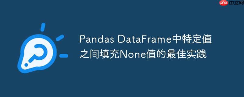 pandas dataframe中特定值之间填充none值的最佳实践