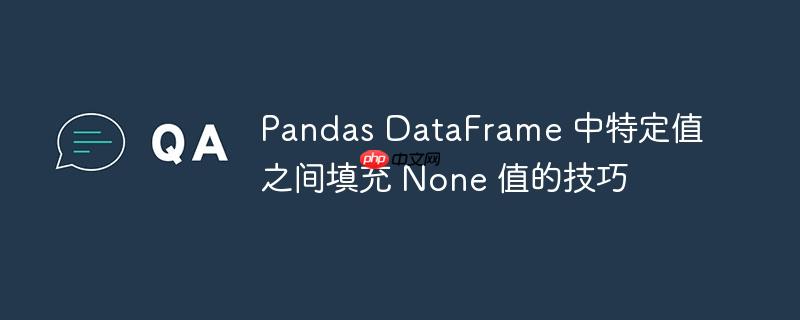 Pandas DataFrame 中特定值之间填充 None 值的技巧
