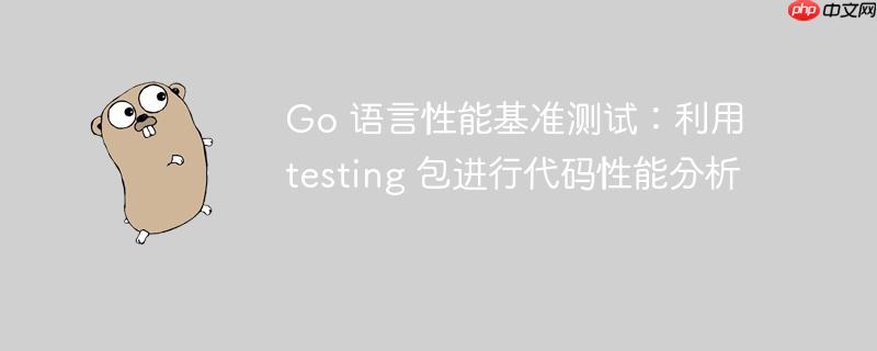 Go 语言性能基准测试：利用 testing 包进行代码性能分析