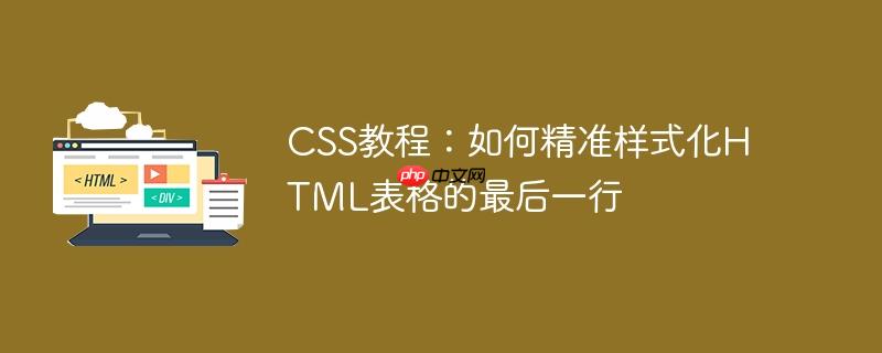 CSS教程：如何精准样式化HTML表格的最后一行