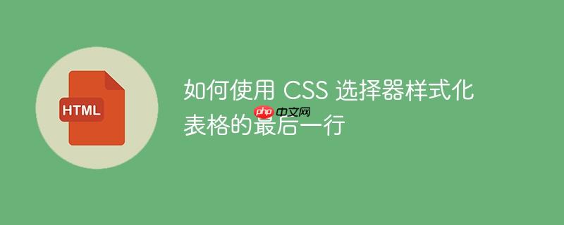 如何使用 CSS 选择器样式化表格的最后一行