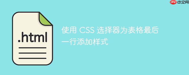 使用 CSS 选择器为表格最后一行添加样式