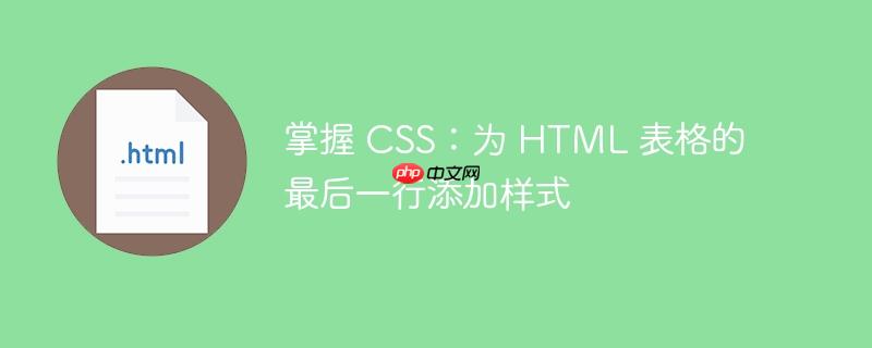 掌握 CSS：为 HTML 表格的最后一行添加样式