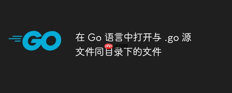 在 Go 语言中打开与 .go 源文件同目录下的文件