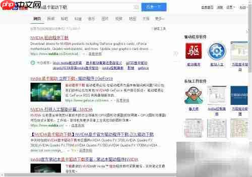 英伟达显卡驱动下载指南