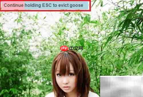 Desktop Goose卸载方法