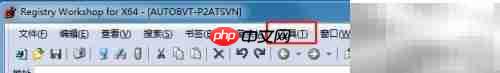 Registry启用鼠标拖放技巧