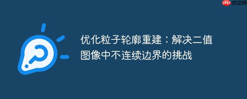 优化粒子轮廓重建：解决二值图像中不连续边界的挑战
