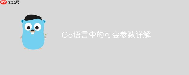 Go语言中的可变参数详解