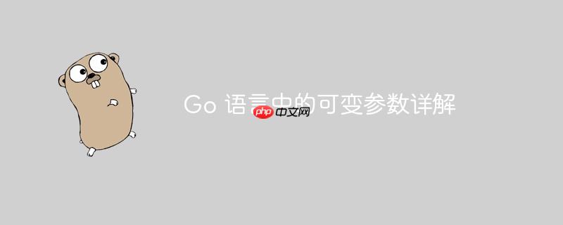 Go 语言中的可变参数详解