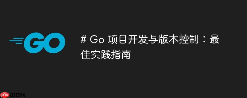 # Go 项目开发与版本控制：最佳实践指南