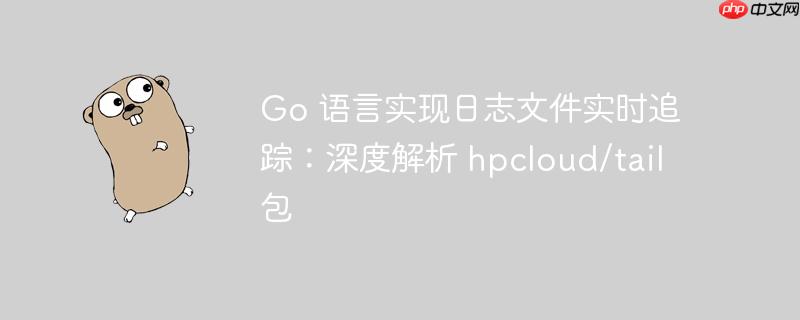 Go 语言实现日志文件实时追踪：深度解析 hpcloud/tail 包