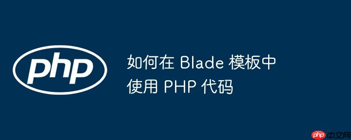 如何在 blade 模板中使用 php 代码