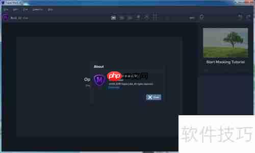 Topaz Mask AI使用指南
