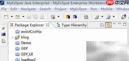 MyEclipse导出工程文件方法