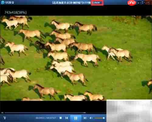 视频转MP4格式方法