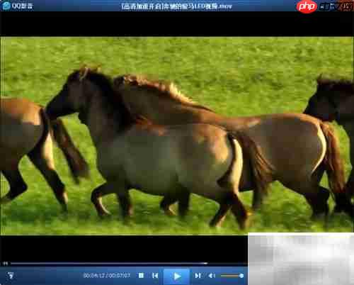 视频转MP4格式方法