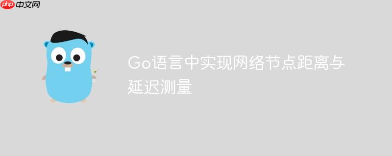 Go语言中实现网络节点距离与延迟测量
