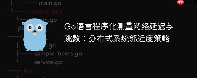 Go语言程序化测量网络延迟与跳数：分布式系统邻近度策略