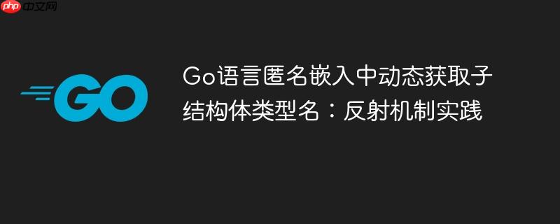 Go语言匿名嵌入中动态获取子结构体类型名：反射机制实践