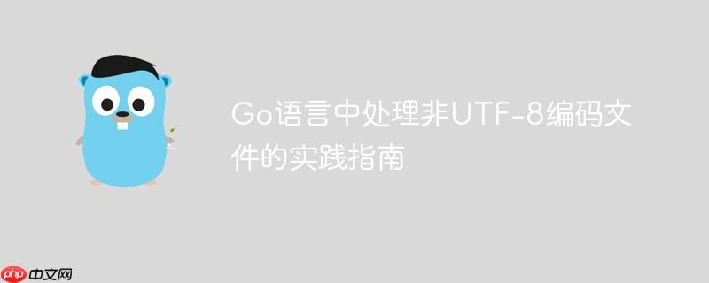 Go语言中处理非UTF-8编码文件的实践指南