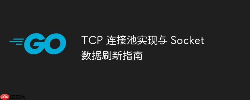 TCP 连接池实现与 Socket 数据刷新指南