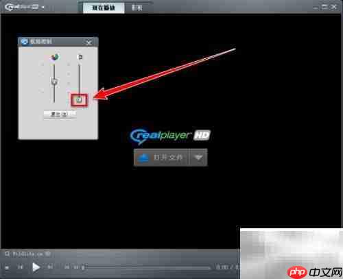 RealPlayer视频清晰度设置方法