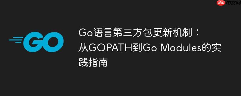 Go语言第三方包更新机制：从GOPATH到Go Modules的实践指南