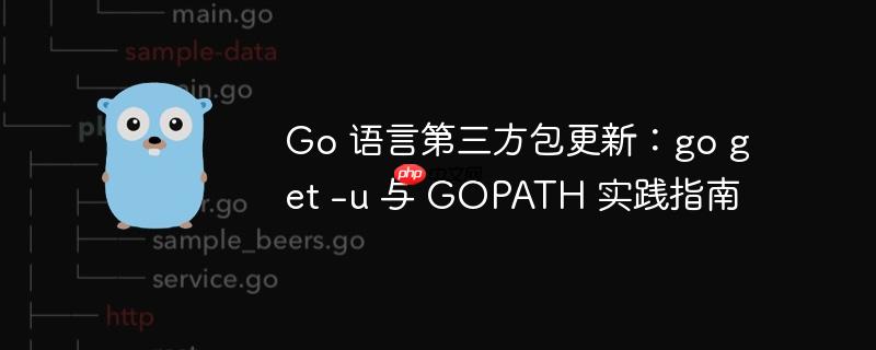 Go 语言第三方包更新：go get -u 与 GOPATH 实践指南