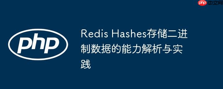 Redis Hashes存储二进制数据的能力解析与实践