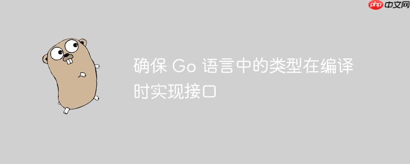 确保 Go 语言中的类型在编译时实现接口