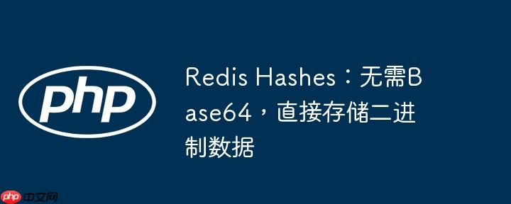 Redis Hashes：无需Base64，直接存储二进制数据