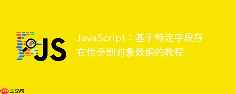 JavaScript：基于特定字段存在性分割对象数组的教程