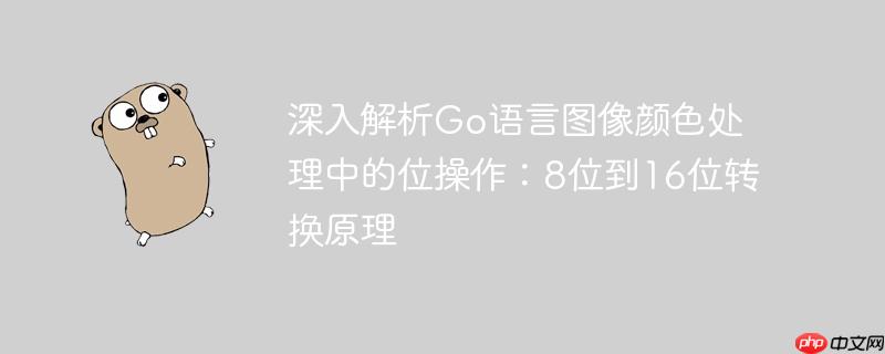 深入解析Go语言图像颜色处理中的位操作：8位到16位转换原理