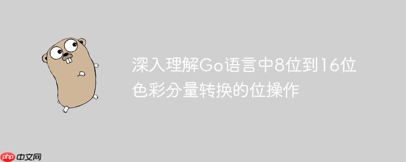 深入理解Go语言中8位到16位色彩分量转换的位操作