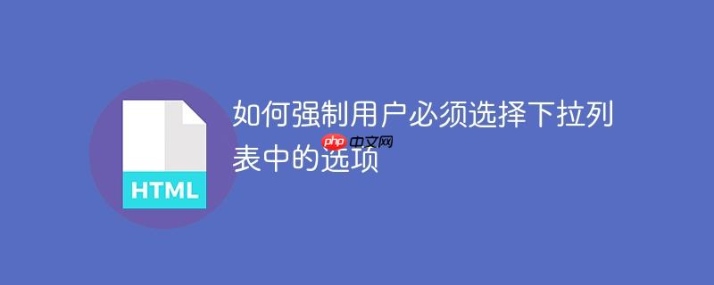 如何强制用户必须选择下拉列表中的选项