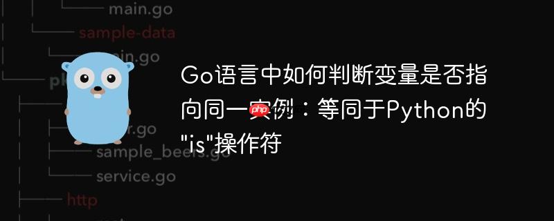Go语言中如何判断变量是否指向同一实例：等同于Python的”is”操作符