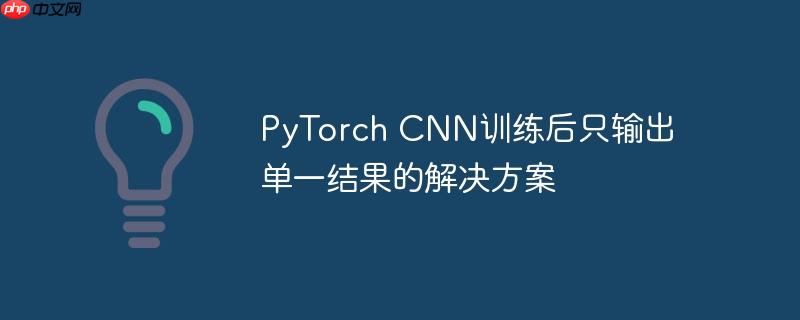 pytorch cnn训练后只输出单一结果的解决方案
