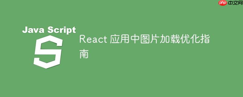React 应用中图片加载优化指南