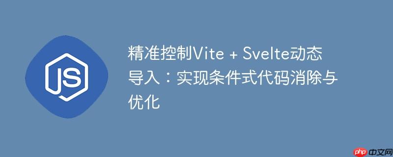 精准控制Vite + Svelte动态导入：实现条件式代码消除与优化