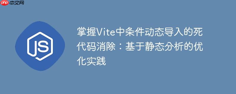 掌握Vite中条件动态导入的死代码消除：基于静态分析的优化实践