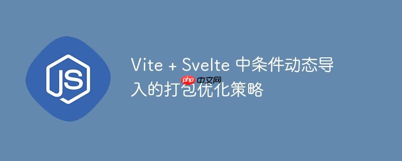 Vite + Svelte 中条件动态导入的打包优化策略