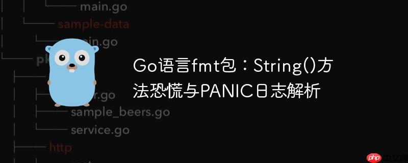 Go语言fmt包：String()方法恐慌与PANIC日志解析