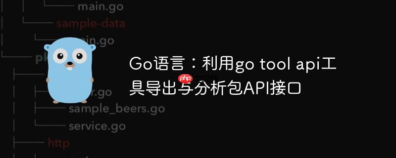 Go语言：利用go tool api工具导出与分析包API接口