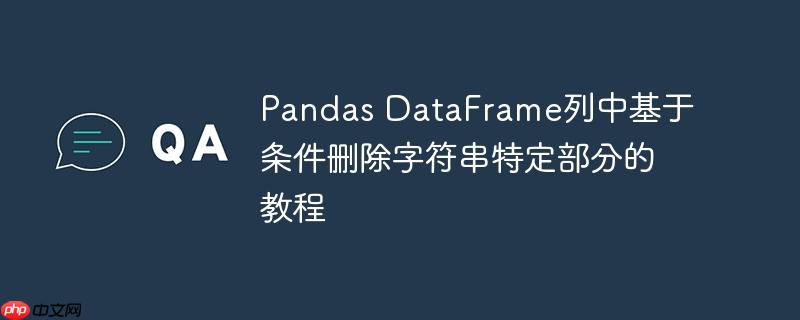 Pandas DataFrame列中基于条件删除字符串特定部分的教程