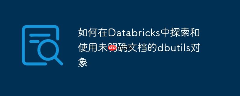 如何在Databricks中探索和使用未明确文档的dbutils对象