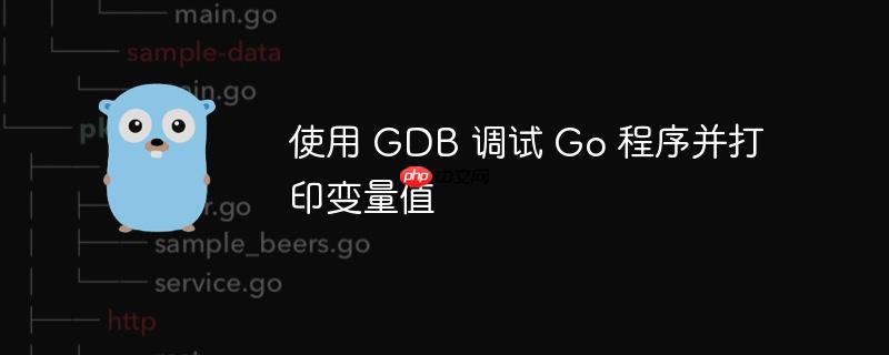 使用 GDB 调试 Go 程序并打印变量值