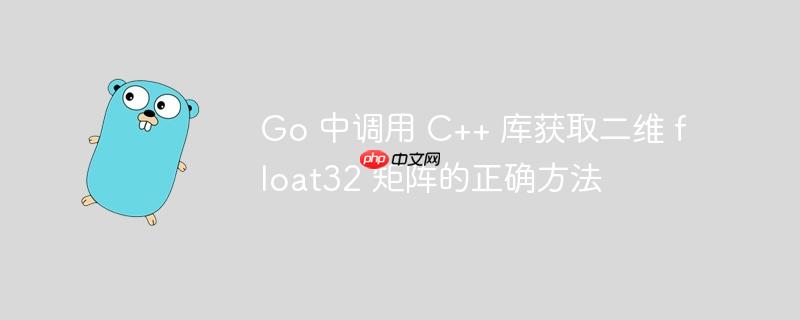 Go 中调用 C++ 库获取二维 float32 矩阵的正确方法