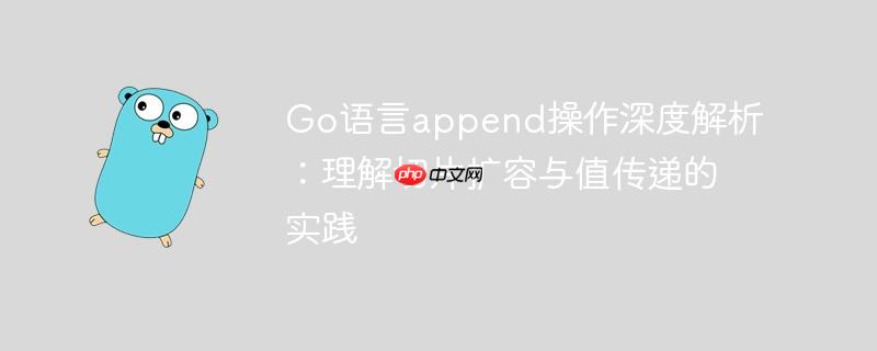 Go语言append操作深度解析：理解切片扩容与值传递的实践