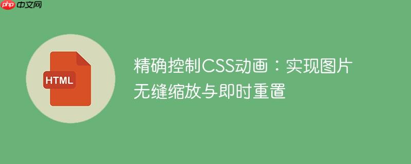 精确控制CSS动画：实现图片无缝缩放与即时重置